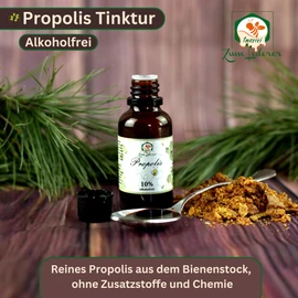 Propolis Drops without Alcohol - Propolis for Children, Animals and Adults - 30 ml Pure 10% Propolis Extract from Germany - Propolis Drops without Alcohol (30 ml, 30, ml)