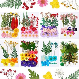 200 Pieces Real Dried Pressed Flowers Resin Flowers for Resin Mold Real Daisy Dried Flower Leaves for Scrapbooking DIY Candle Accessories Jewelry Crafts Making