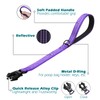 PetBonus Heavy Duty Short Dog Leash, 24 Inch Nylon Traffic