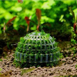 Aquarium Decoration DIY Submerged Moss Ball for Planted Tank with Filter Media (5)