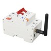 WiFi Circuit Breaker 2P Smart Phone APP Remote Switch for
