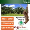 Palm Oil - 1 Quart - 32 oz - RSPO