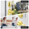 NIZADO Keyed Alike Door Lock Sets with Single Cylinder Deadbolt,