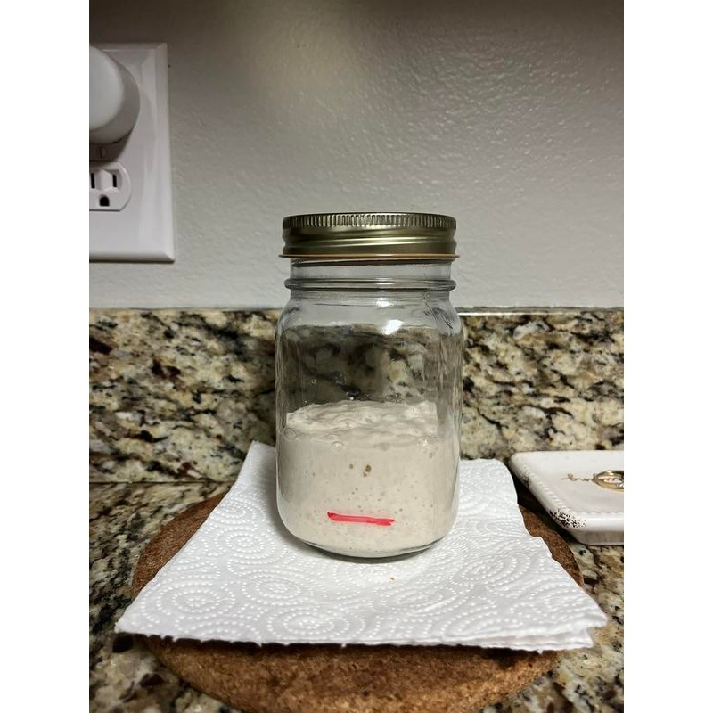 Dehydrated Sourdough Starter - Air Dried, For making bread, Natural
