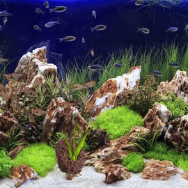 Cabilock 6Pcs Aquarium Lava Rock - Fish Tank Aquarium Decorations Hideouts | Volcanic Rocks Aquarium Rock Mountain Hideaway Caves for Fish Shrimp Betta Landscape Ornaments