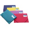 Rapesco A4+ 3-Flap Folio Elasticated - Assorted Transparent Colours, Pack
