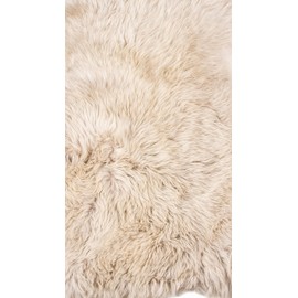 Natural Thick and Lush Pile Anti-Skid Backing Hypo-Allergenic Premium Quality New Zealand Shearling 2 x 3 ft Sheepskin Area Rug Throw Single Pelt, Taupe