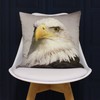 Riva Paoletti Animal Eagle Cushion Cover - Animal Print Design