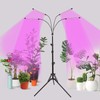 Plant Growth lamp (4 Heads)