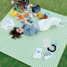 Aesthetic Plaid Picnic Mat Waterproof Pad for Car Camping & Picnics Mint Plaid M (150x200cm)