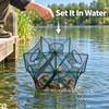 6 Hole Folding Fishing Trap Net 40CM 50CM 60CM –