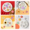 5Pcs Flower Silicone Molds, Chocolate Fondant Flower Mould Polymer Clay