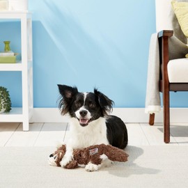 KONG Scrunch Knots 2 Pack Dog Toy – Stuffing-Free Plush with Internal Knotted Ropes & Squeaker – Durable Tug & Chew Toy (Squirrel/Raccoon Combo, Medium/Large)