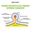 Simply Potent Liposomal Vitamin C 1500mg - Enhanced Absorption for