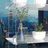 ZerzSemp 2-Pack Hanging Acrylic Plant Shelves for Windows, Each Tier