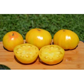 Huge Lemon Oxheart Tomato Seeds