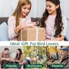 Smart Bird Feeder with Camera,Solar Powered,Waterproof Outdoor WiFi Bird House