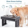 Slow Feeder Pet Dish, Prevention Bowl, Strong Suction Cup Included,