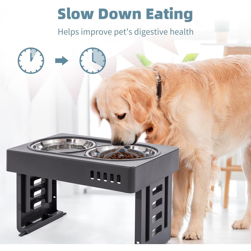 Slow Feeder Pet Dish, Prevention Bowl, Strong Suction Cup Included,