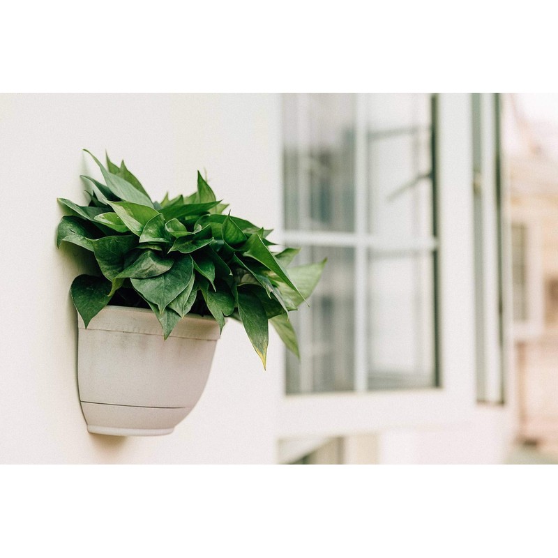 T4U Hanging Wall Vase, Resin Flower Pot, Wall Pot for