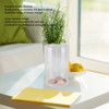 Clear Money Bank Large Capacity Drop Resistant Transparent Ballot Tip