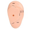 Ear Sticker Acupuncture Kit 600pcs Ear Massage Sticker Acupuncture Model