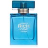 Johan B. Rich Icone for Men Eau De Toilette Spray,