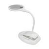 Magnifying Lamp 6 LED 2 Gears Optical Lens Adjustable Foldable