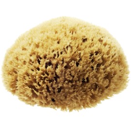 Hydrea London Natural Sea Sponge 5 - 5.5"- Premium Mediterranean Honeycomb Unbleached Natural Sponge for Bath and Shower for Adults, Women, Men Children and Baby