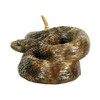 Western Diamondback Rattlesnake S by Michael Carr Designs - Outdoor