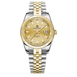 Pagani Design Herren Automatikuhr Japanisches Uhrwerk Edelstahlgehäuse Saphirglas Zifferblatt 21 Steine Gold Luxusuhr PD 1645 (Silber und Gold)