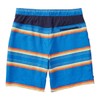 Speedo Hydro Volley - Pantalones cortos de natación para hombre,