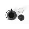 HAWOK Cast Iron Teapot with Stainless Steel Infuser (600ml/20oz)