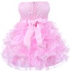 Baby Girl Dresses Ruffle Lace Pageant Party Wedding Flower Girl