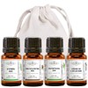 MY COSMETIK 4 x 5 ml Essential Oils Christmas Mood