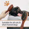 Casidoxi Bristle Cat Hair Brush for Shedding, Soft Cat Brush