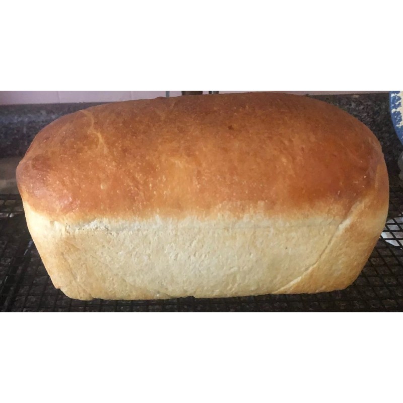 King Sourdough Starter From King Arthur's Organic Flour, Tips &