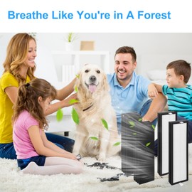 2+8 Set HFD300 Filter Replacement-Compatible with Honeywell Air Genius 3,4,5,6 Series Air Cleaner Purifier,Part#HFD300,HFD310,HFD360,HFD314,HFD323CV1,HFD320 Replacement Filter.