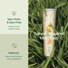 Revitin Toothpaste | Fluoride-Free Prebiotic Mint Tooth Gel | No