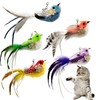 CATENEED Cat Feather Toys Refill, 5 Pieces Cat Wand Attachments