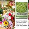 Gardeners Basics Summer Savory Seeds