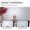 TOKCON 12V LED Edison Light Bulbs - Daylight 5000K 6W(Only