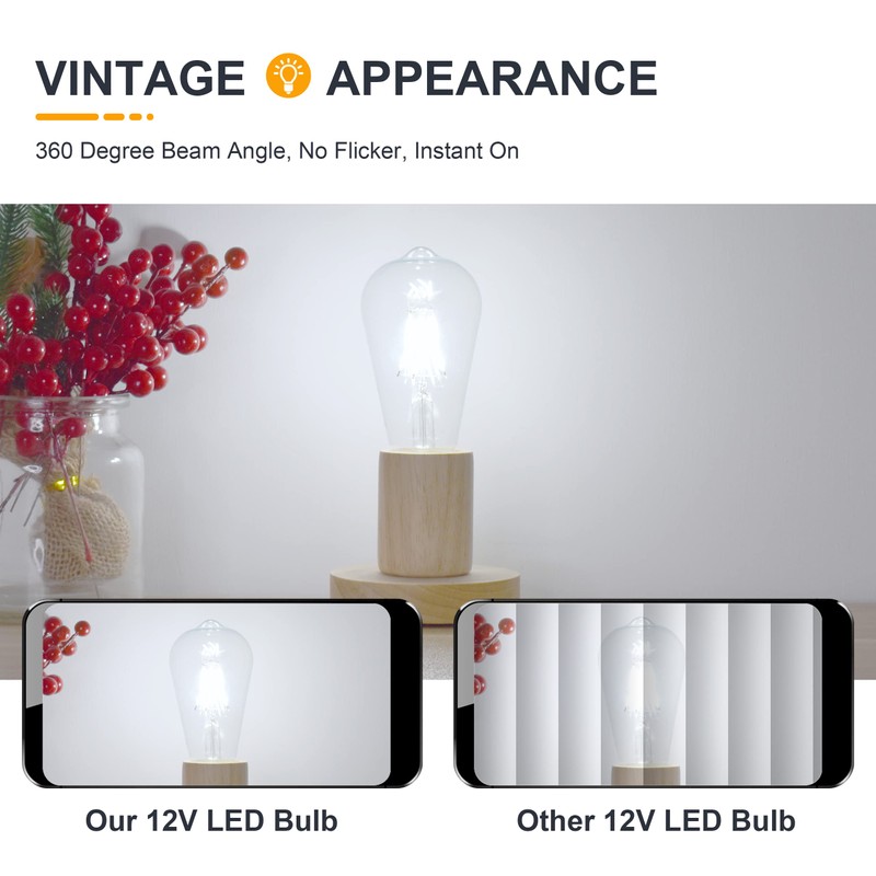 TOKCON 12V LED Edison Light Bulbs - Daylight 5000K 6W(Only