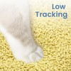 Tofu Cat Litter, Cat Litter Clumping, Flushable, Low Tracking, Dust