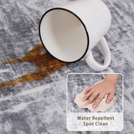 MINIDEAR 4'x6' Area Rugs for Living Room, Washable Rugs for Bedroom Non Slip Vintage Rugs with Floral Print Carpet Mat for Home