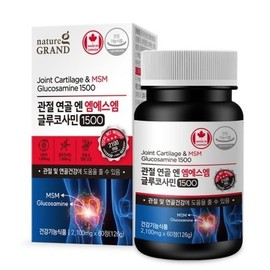 Joint Cartilage N MSM Glucosamine 1500