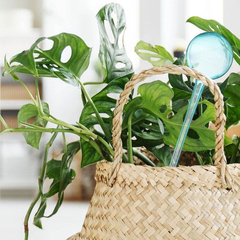 Set of 12 Watering Globes 2 Weeks Retractable Potted Plants