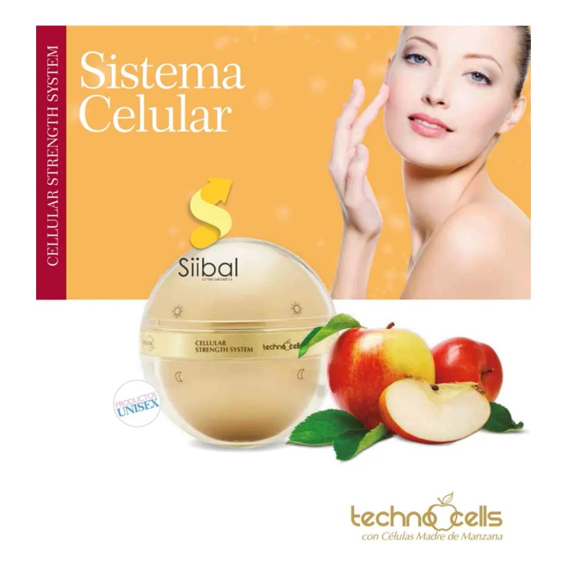 Crema Día Y Noche Células Madre Manzana Terramar