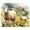 XTXGERL DIY Paint by Number Sheep Paint by Numbers for