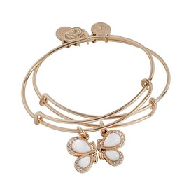 Alex and Ani Perfect Pairs- Butterfly Wings Bangle Set of 2